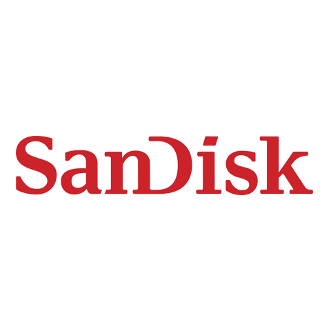 SanDisk 閃迪