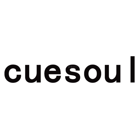 CUESOUL Q獸