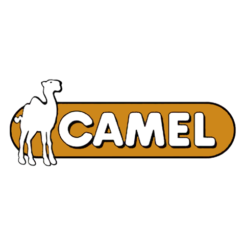 camel 駱駝