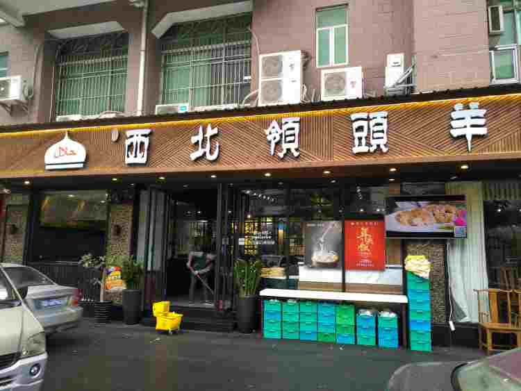 西北領(lǐng)頭羊