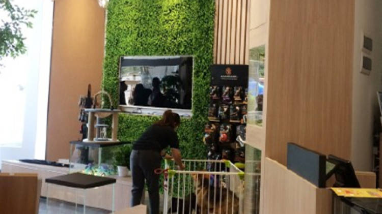 卡拉寵物醫(yī)院