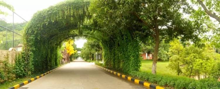 桃源居中澳實驗學校