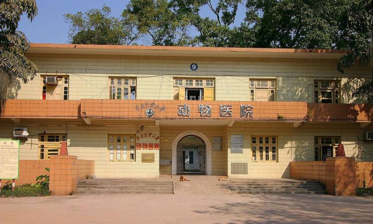 華南農(nóng)業(yè)大學(xué)動物醫(yī)院