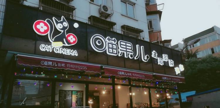 喵果兒主題迷你影院