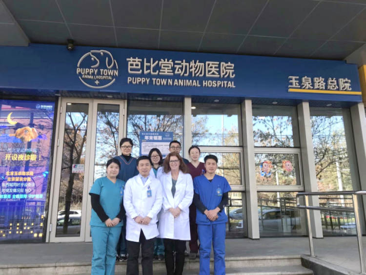 芭比堂動物醫(yī)院