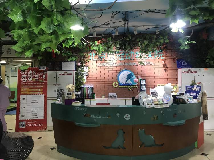 寵頤生動物醫(yī)院北京京冠分院