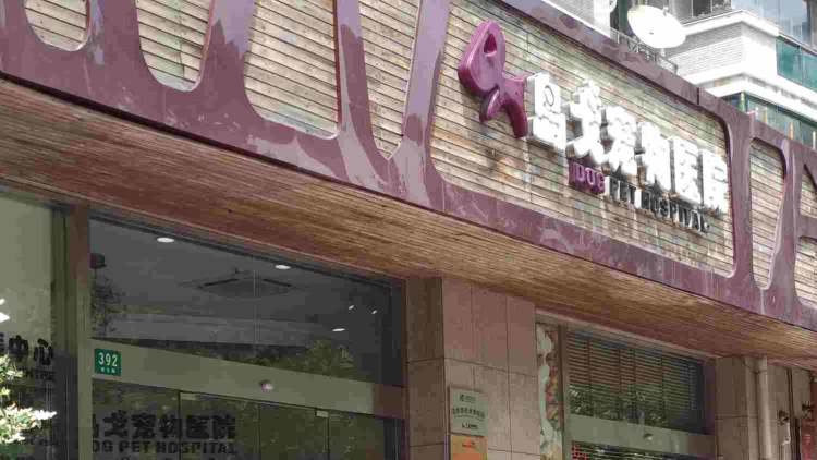 島戈動(dòng)物醫(yī)院
