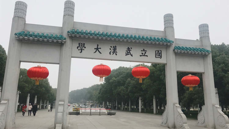 武漢大學(xué)