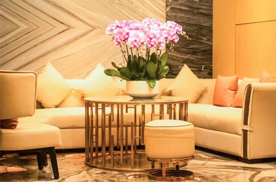 金華好玩的十大夜總會排行榜，你點進來了解你就知道