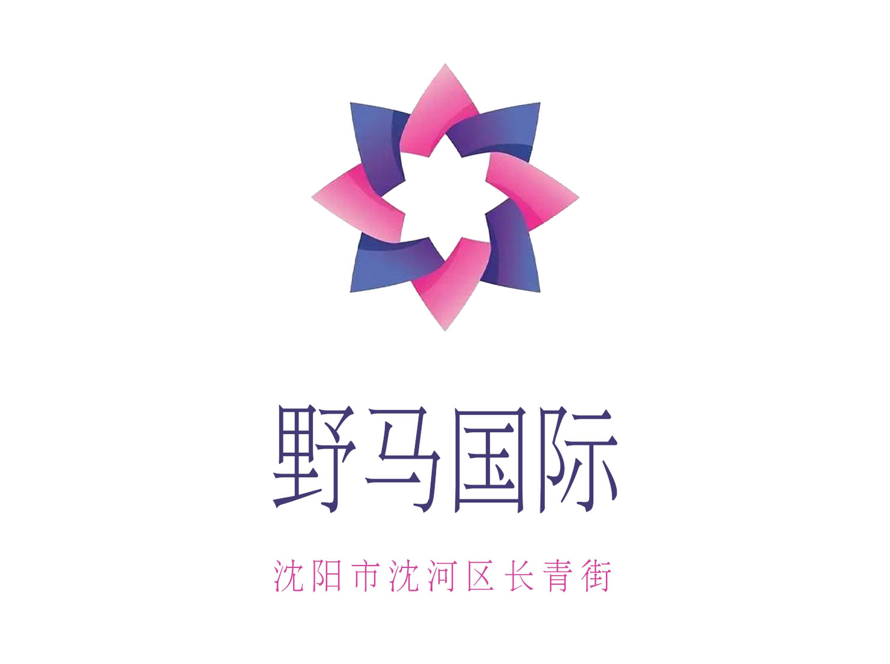 沈陽野馬國際夜總會