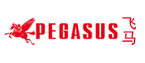 PEGASUS飛馬