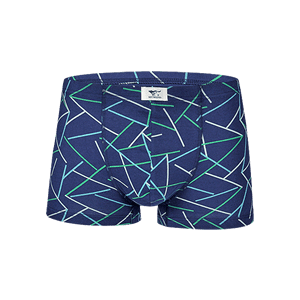 男士?jī)?nèi)褲十大品牌