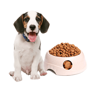 寵物食品十大品牌